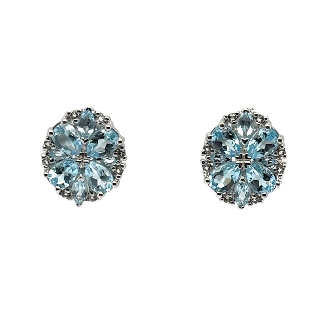 Sterling Silver Blue Topaz Earrings