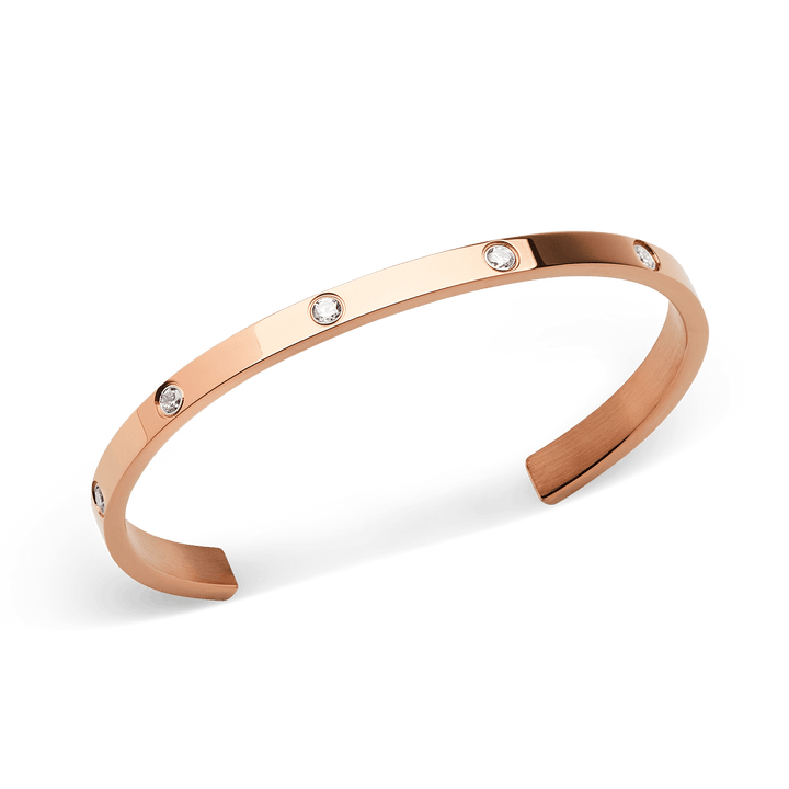 Daniel Wellington Classic Lumine Bracelet Rose Gold 5.5 mm