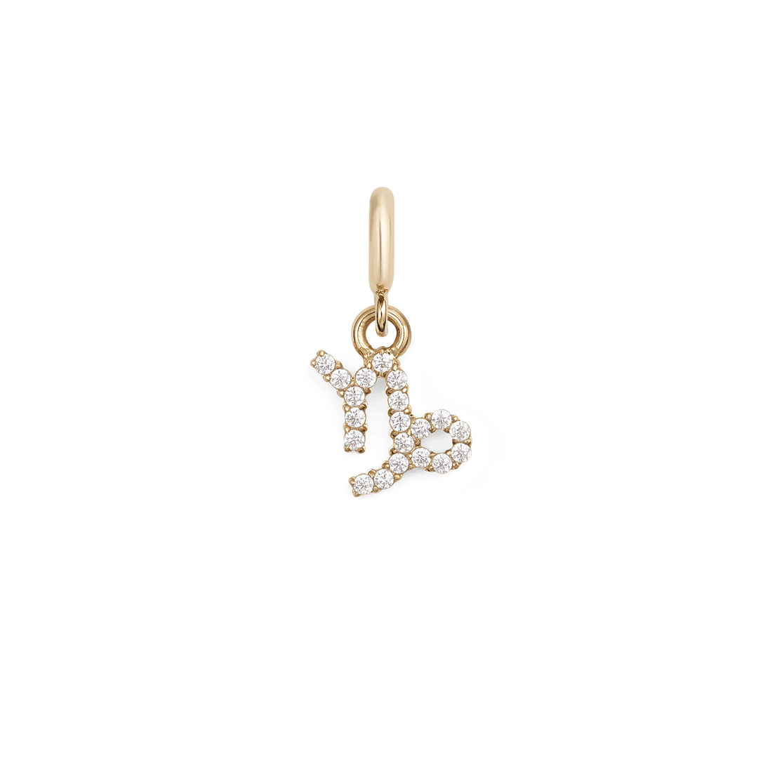 Daniel Wellington Zodiac Watch Charm Gold - B &amp; S Lyncris Jewellers