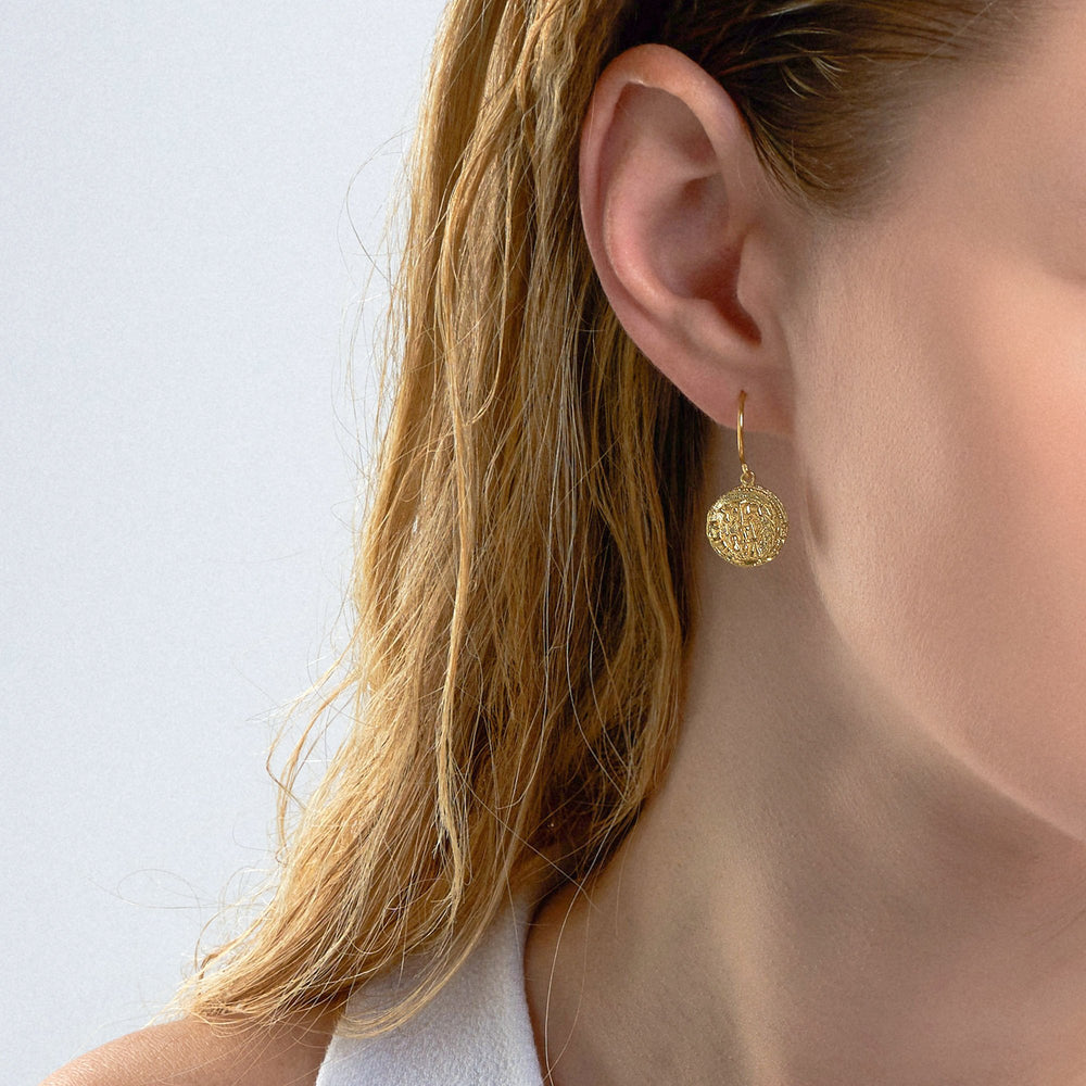 Emblem Hook Earrings - Ania Haie Jewellery