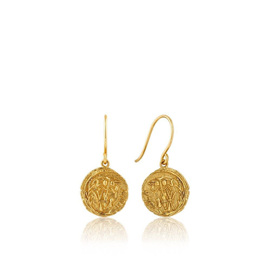 Ania Haie Emblem Hook Earrings - Gold