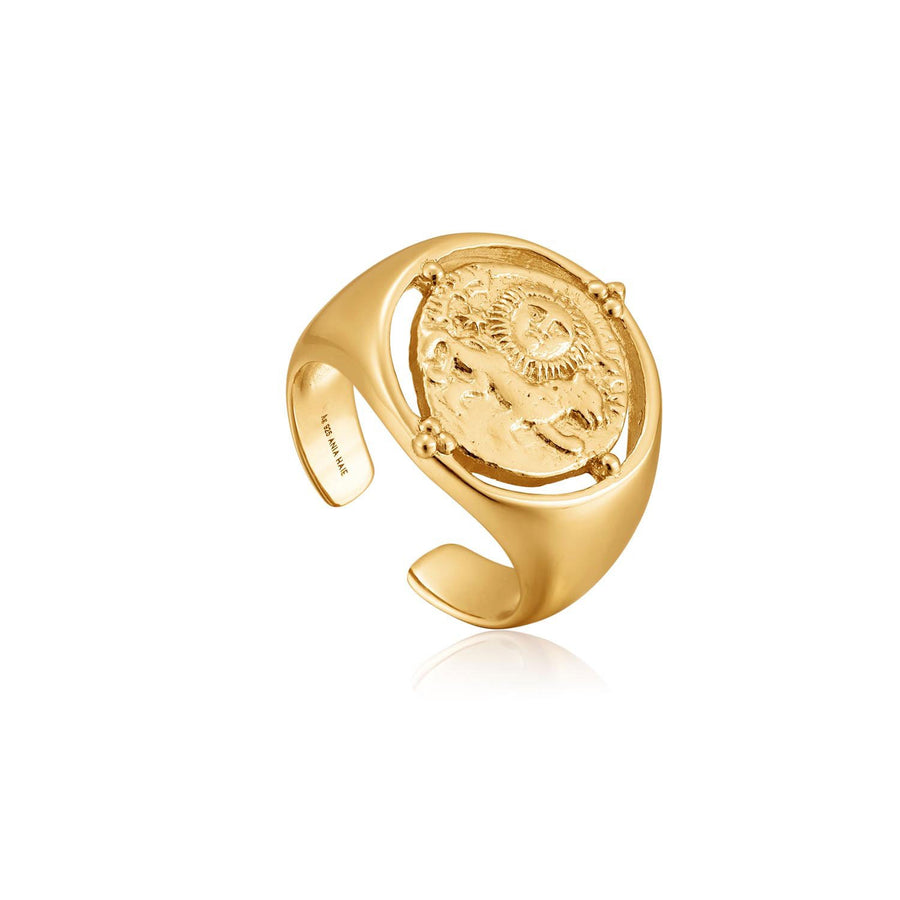 Ania Haie Seljuks Signet Adjustable Ring  - Gold